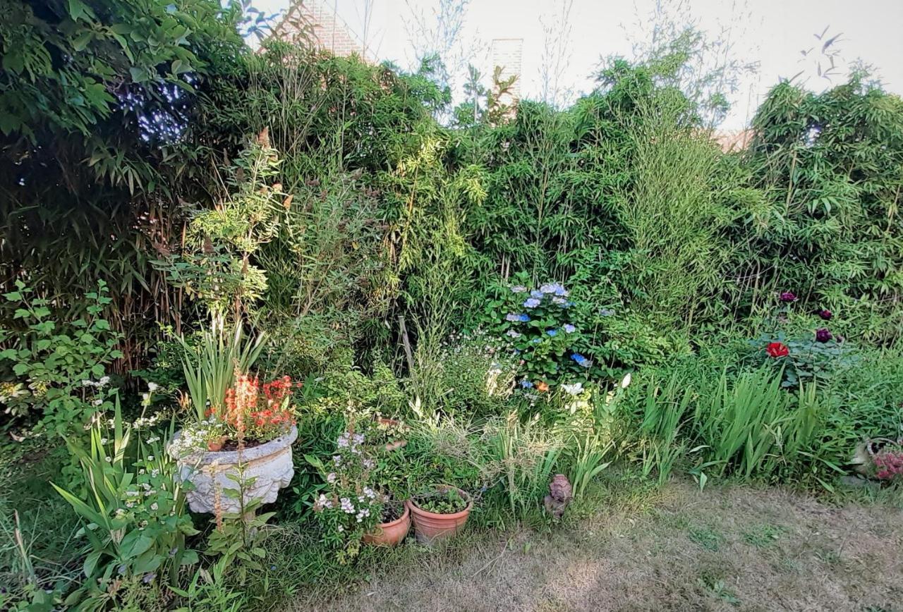 Villa Ritte Dendermonde Bagian luar foto