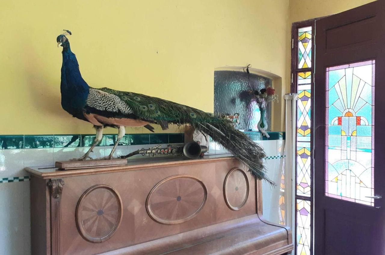 Villa Ritte Dendermonde Bagian luar foto