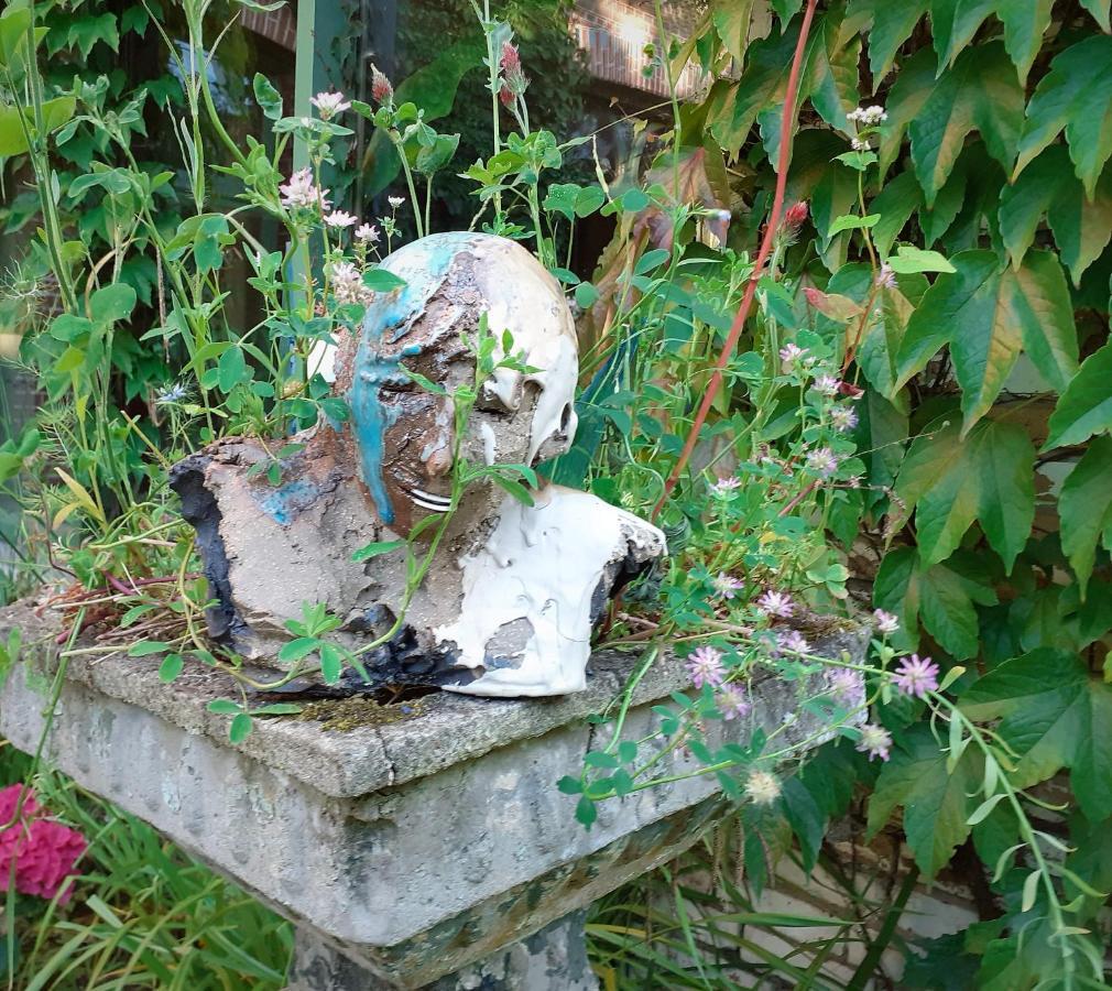 Villa Ritte Dendermonde Bagian luar foto