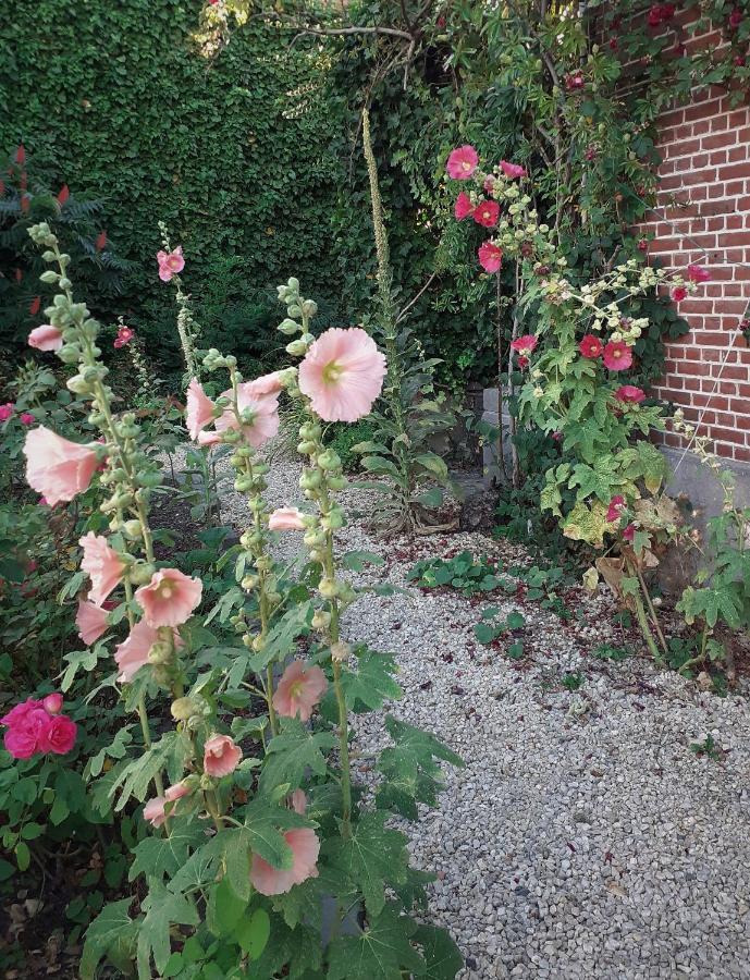 Villa Ritte Dendermonde Bagian luar foto